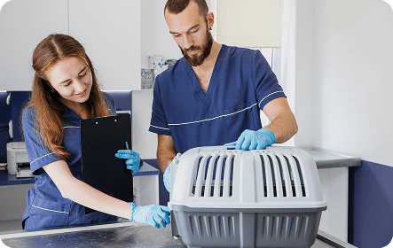 Veterinary staff with a pet carrier