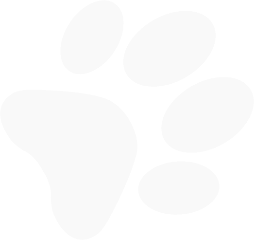 Paw Print