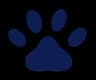 paw