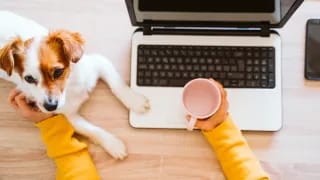 Don’t Wait, Don’t Worry — How Vetzi Helps You Avoid Emergency Vet Visits