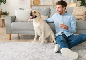 Man on a video call with a veterinarian while his dog looks on, representing a telehealth consultation for dog anxiety or aggression