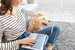 Closeup of happy loving lady sitting on floor carpet with labrador, using pc laptop and watching video or movie, freelancer working at home office and spending time together patting dog in living room