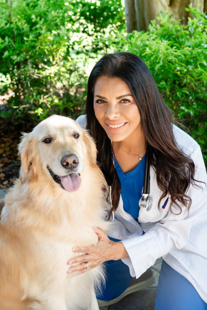 Vetzi veterinarian holding golden retriever dog, outdoor portrait with greenery